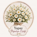 Yapay Papatya Çiçeği