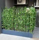 Bambu Separat&ouml;r &Ccedil;eşitleri
