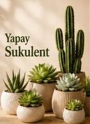 yapay sukulent çeşitleri