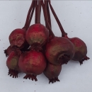 Kırmızı Haşhaş Otu - Dogal Papaver Kuru Çiçek - 1726