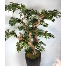 Yapay Ficus Bonzai Ağacı yaprak görünümü