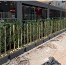 Bambu Seperatör Plastik Saksılı