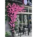 Kiraz &Ccedil;i&ccedil;eği Dış Mekan S&uuml;slemesi Yakın G&ouml;r&uuml;n&uuml;m&uuml;