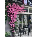 Kiraz &Ccedil;i&ccedil;eği Dış Mekan S&uuml;slemesi Yakın G&ouml;r&uuml;n&uuml;m&uuml;