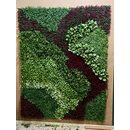 Dış Duvar Premium Bitki Kaplama