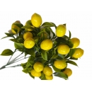 Yapay Limon Demeti