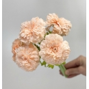 Somon Yapay Gerbera Çiçegi
