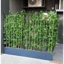 Fiber Saksılı Bambu Seperatör