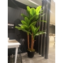 Yapay Muz Ağacı detay fotoğrafı