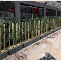 Bambu Seperatör Plastik Saksılı