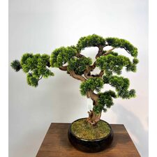 Yapay Küçük Bonsai Ağacı Detay Fotoğrafı