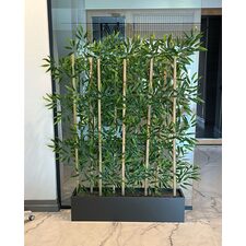 Bambu Seperatör Mdf Saksılı Yakın Görünümü