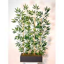 50 cm Bambu Seperatör
