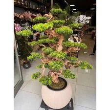 Yapay Bonsai (Bonzai) Ağacı 1.80 Mt Detay Fotoğrafı