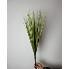 Uzun Saz Bitkisi