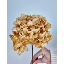 Ortanca &Ccedil;i&ccedil;ek