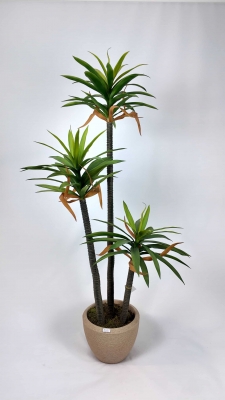 3'lü Aloe Vera Yapay Ağaç detay fotoğrafı