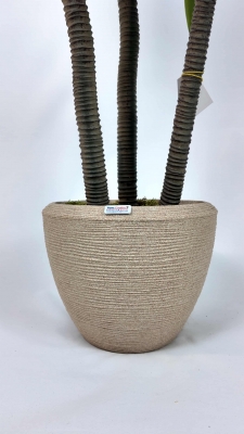 3'lü Aloe Vera Yapay Ağaç saksı detayı