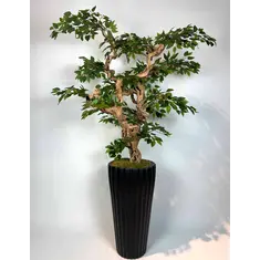 Yapay Ficus Bonzai Ağacı genel görünümü