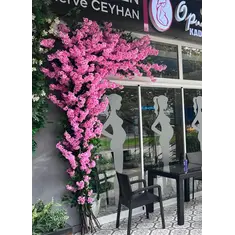 Kiraz Çiçeği Dış Mekan Süslemesi Yakın Görünümü