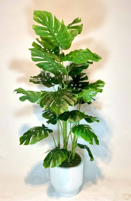 Yapay 3 Lü Monstera Ağacı detay fotoğrafı