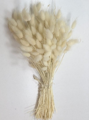 kaliteli-kuru-cicek