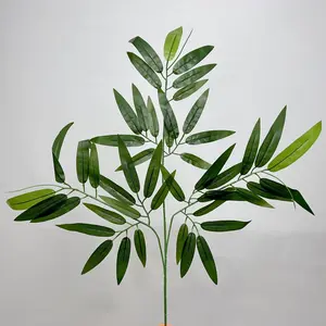 Bambu Yaprağı