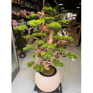 Yapay Bonsai (Bonzai) Ağacı 1.60 Mt Detay Fotoğrafı