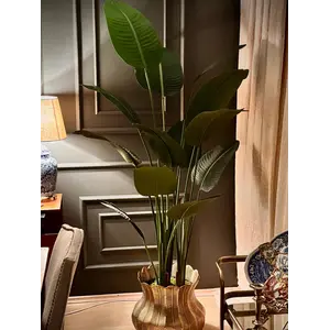 Kadife Yapraklı Dekoratif Starliçe Ağacı detay fotoğrafı
