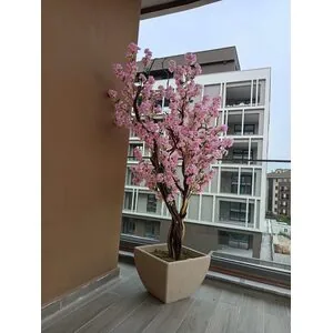 Premium Yapay Sakura Ağacı Uzak &Ccedil;ekim Fotoğrafı