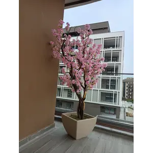 Premium Yapay Sakura Ağacı Uzak Çekim Fotoğrafı
