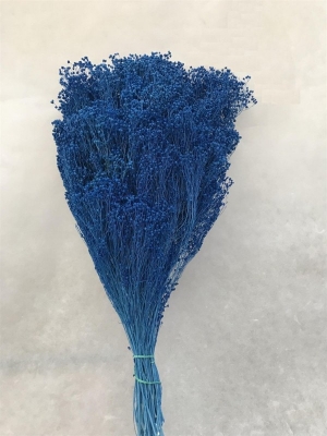 Lacivert Blom Blom - BROOM BLOOM - Kuru Çiçek - 1607