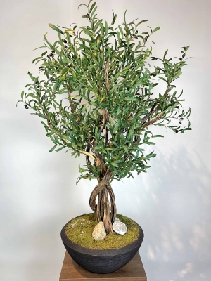 Siyah Saksılı Premium Yapay Zeytin Ağacı Detaylı Fotoğrafı
