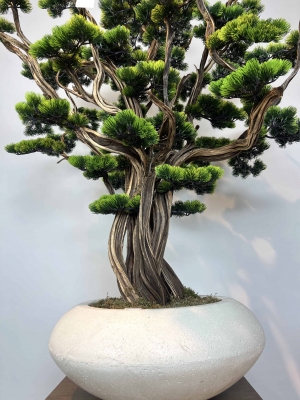 Süper Lüks Yapay Bonzai Ağacı – Dekoratif Ofis ve Ev Bonsai Modeli gövde detayı
