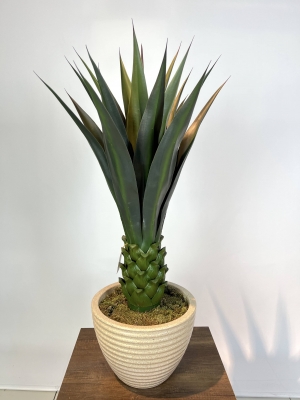 Dekoratif Yapay Agave Ağacı Detaylı Fotoğrafı