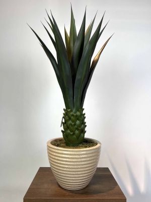 Dekoratif Yapay Agave Ağacı saksı detayı