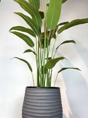 Strelitzia nicolai Yapay Ağaç gövde detayı
