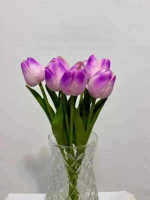 lila mor lale ıslak
