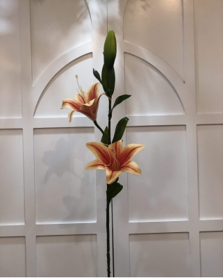Turuncu Zambak Kazablanka