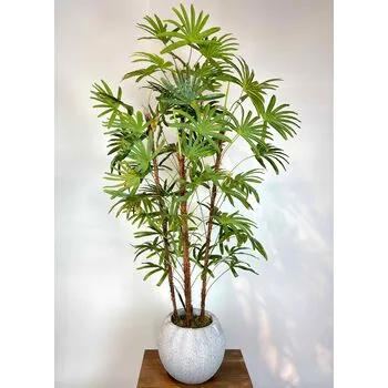 Yapay Rhapis Palmiyesi Detaylı Fotoğrafı