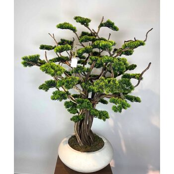 S&uuml;per L&uuml;ks Yapay Bonzai Ağacı &ndash; Dekoratif Ofis ve Ev Bonsai Modeli Detaylı Fotoğrafı