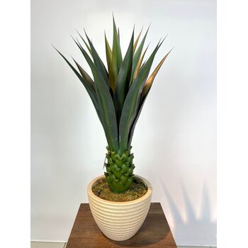 Dekoratif Yapay Agave Ağacı Detaylı Fotoğrafı