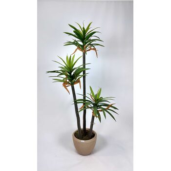 3'l&uuml; Aloe Vera Yapay Ağa&ccedil; detay fotoğrafı