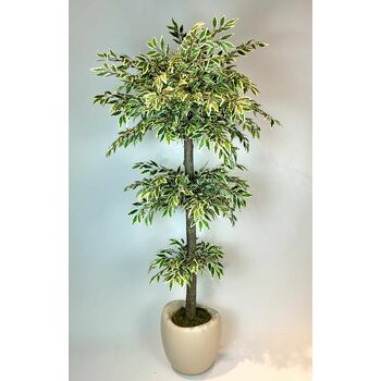 Yapay Ficus Ağacı