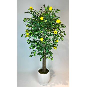 1.80 Mt. Yapay Limon Ağacı