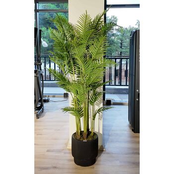 1.80 Mt. K&uuml;&ccedil;&uuml;k Yapraklı Yapay Areka Ağacı