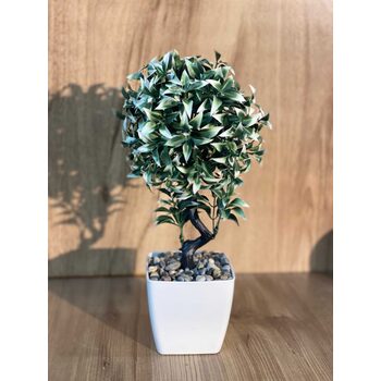 Saksıda Masa &Ccedil;i&ccedil;eği 35 cm