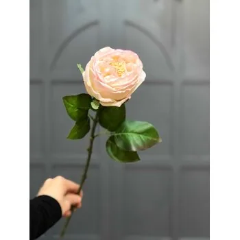 Kaliteli Ger&ccedil;ek&ccedil;i Islak Pembe Şakayık