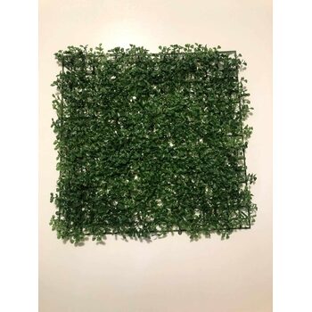 Yapay Şimşir Panel 50x50 cm