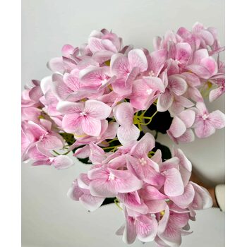 Islak Ortanca A&ccedil;ık Pembe